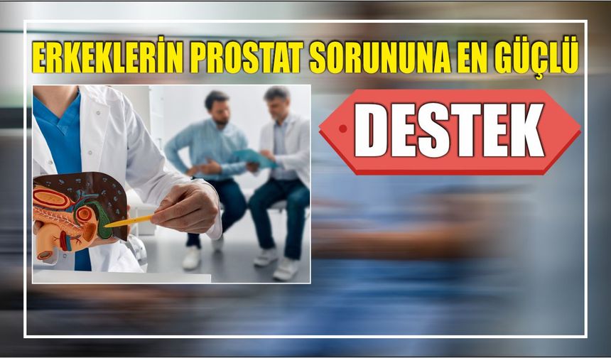 Erkeklerin prostat sorununa en güçlü destek