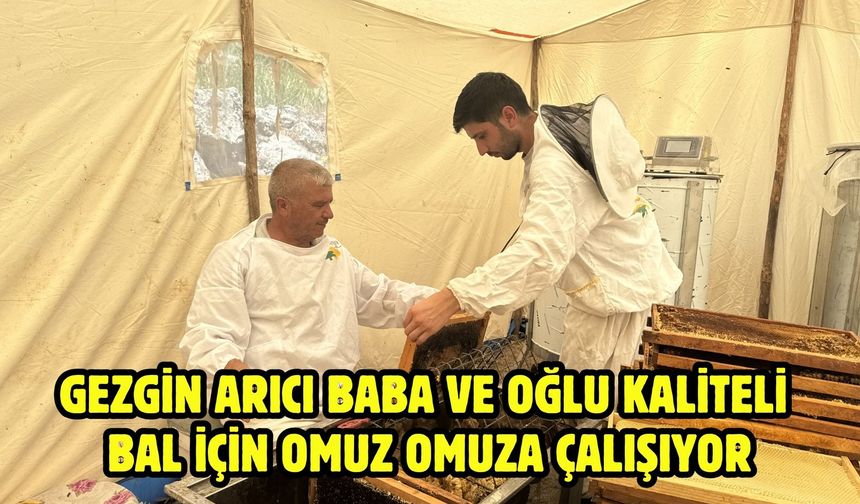 Gezgin arıcı baba ve oğlu kaliteli bal için omuz omuza çalışıyor