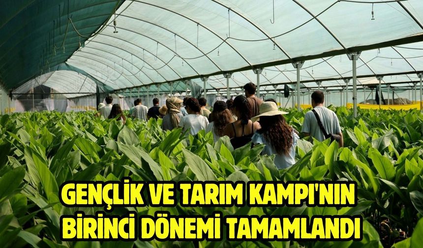 Gençlik ve Tarım Kampı'nın birinci dönemi tamamlandı