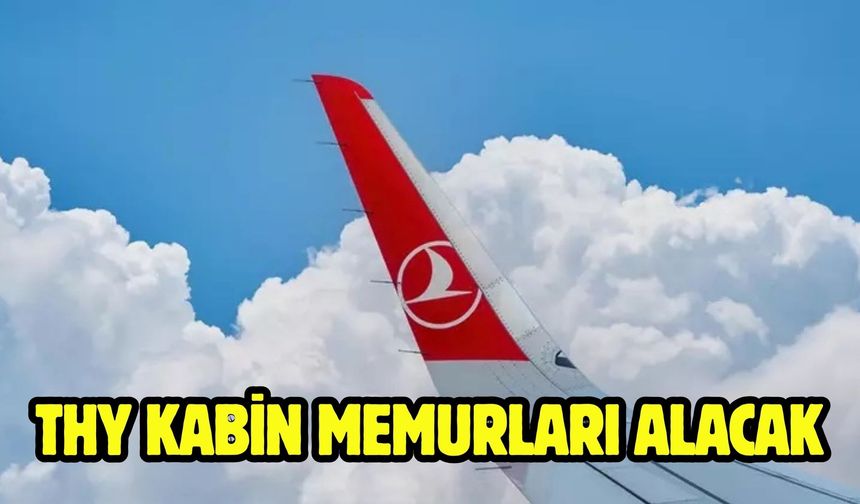 THY kabin memurları alacak