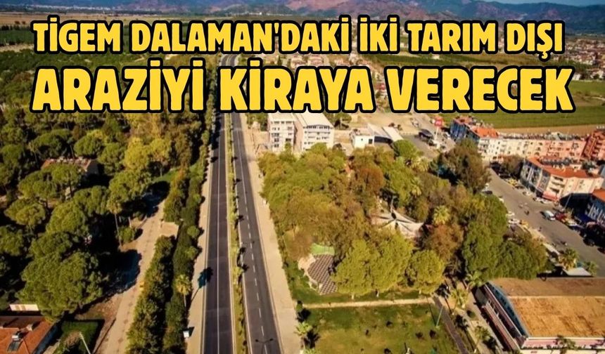TİGEM Dalaman'daki iki tarım dışı araziyi kiraya verecek