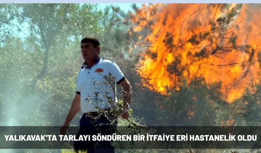 Yalıkavak'ta tarlayı söndüren bir itfaiye eri hastanelik oldu