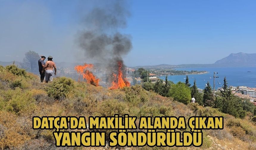 Datça'da makilik alanda çıkan yangın söndürüldü