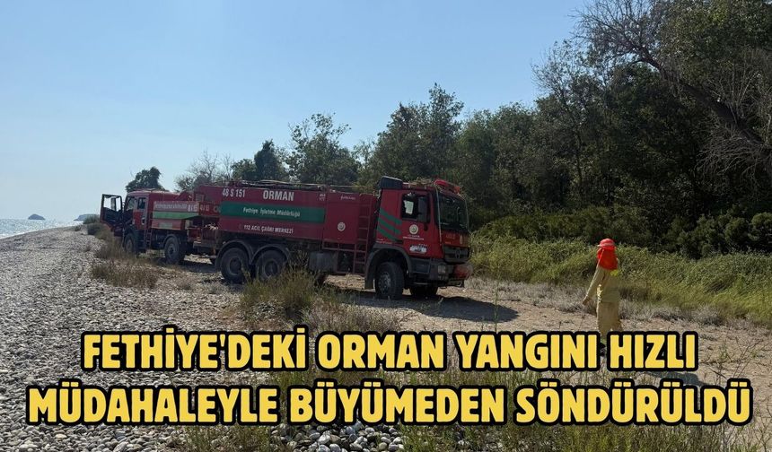 Fethiye'deki orman yangını hızlı müdahaleyle büyümeden söndürüldü