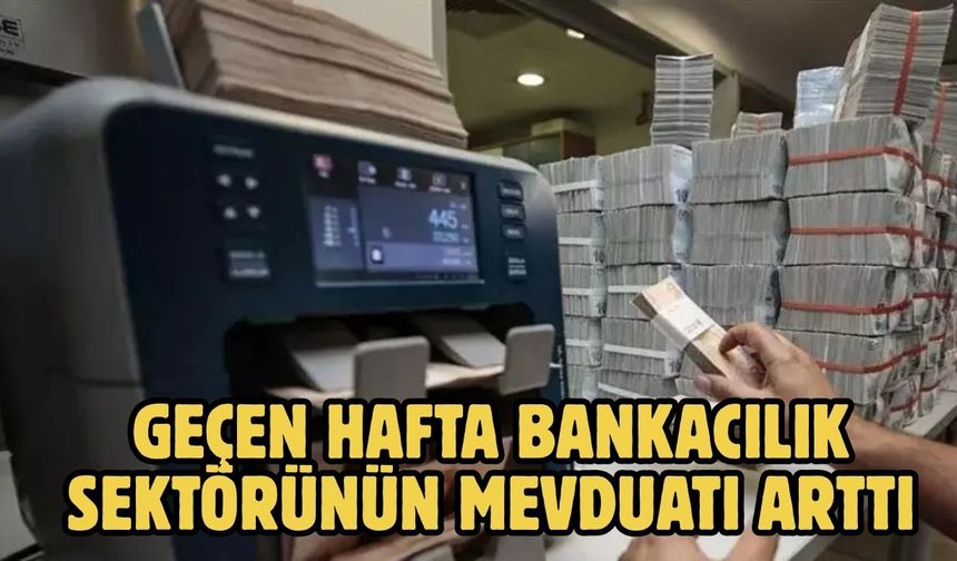 GEÇEN HAFTA BANKACILIK SEKTÖRÜNÜN MEVDUATI ARTTI