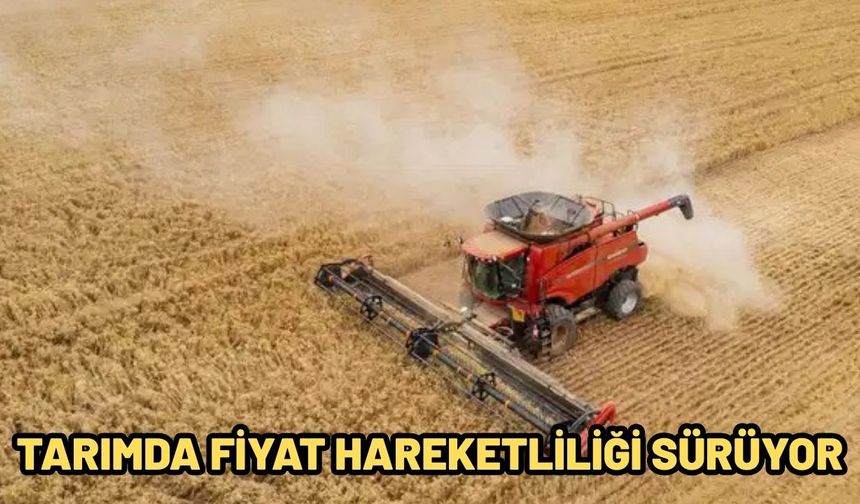 Tarımda fiyat hareketliliği sürüyor