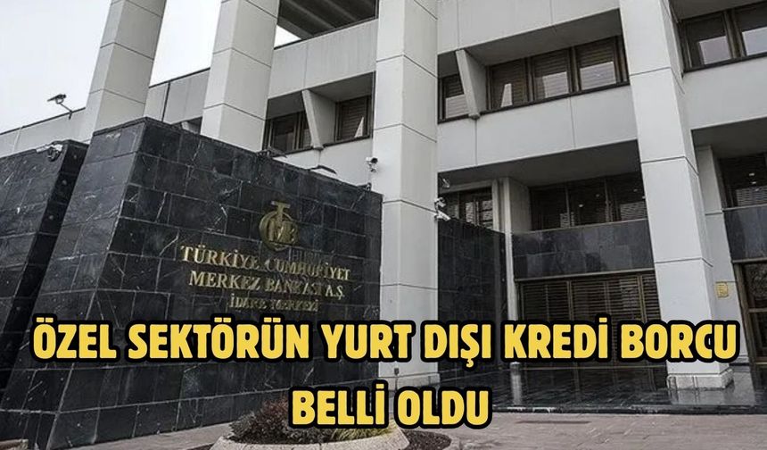 Özel sektörün yurt dışı kredi borcu belli oldu