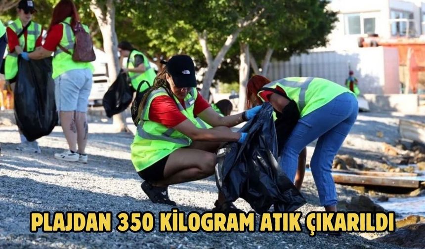 Plajdan 350 kilogram atık çıkarıldı