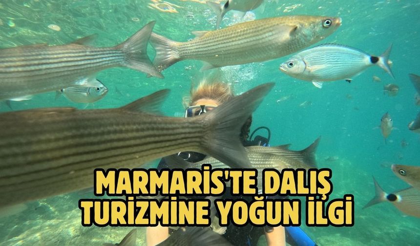 Marmaris'te dalış turizmine yoğun ilgi