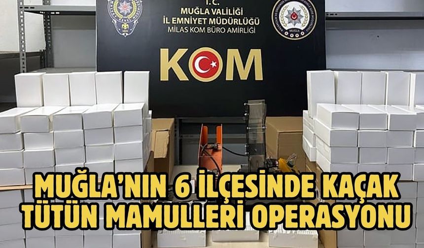 Muğla’nın 6 ilçesinde kaçak tütün mamulleri operasyonu