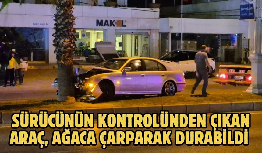 SÜRÜCÜNÜN KONTROLÜNDEN ÇIKAN ARAÇ, AĞACA ÇARPARAK DURABİLDİ