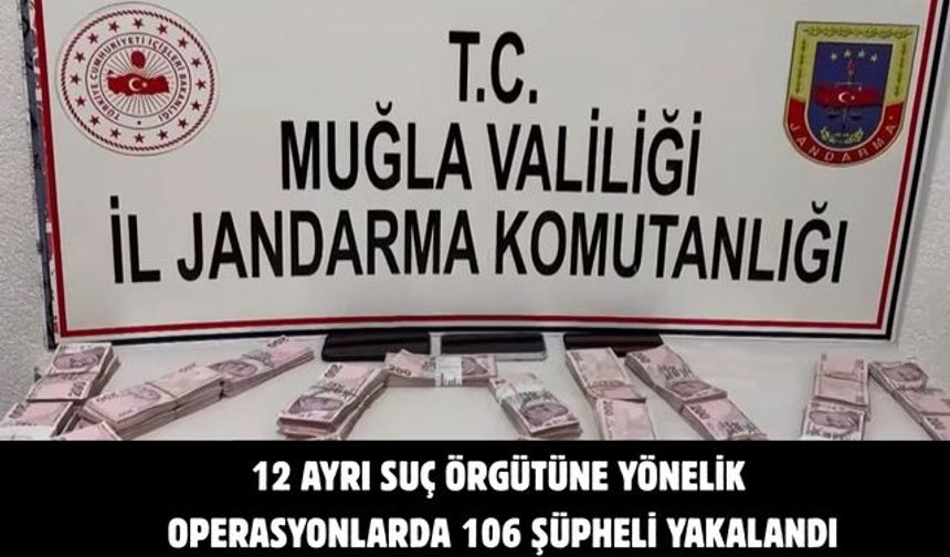 12 ayrı suç örgütüne yönelik operasyonlarda 106 şüpheli yakalandı