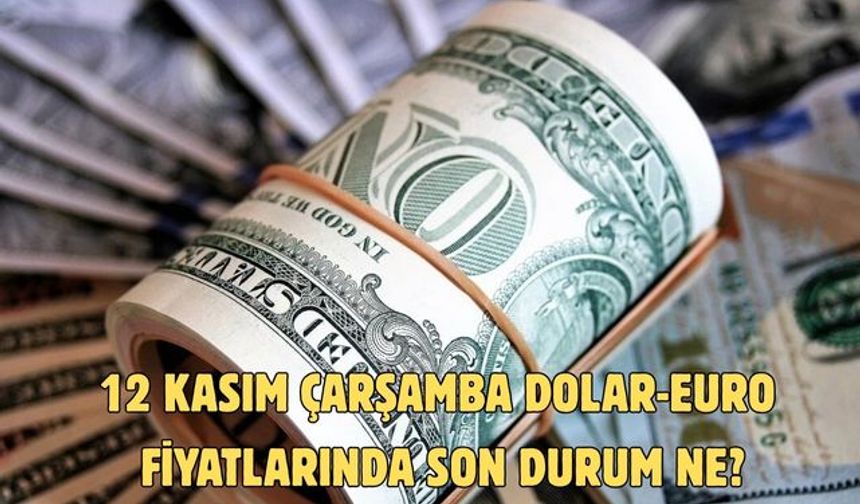 12 KASIM ÇARŞAMBA DOLAR-EURO FİYATLARINDA SON DURUM NE?