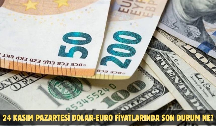 24 KASIM PAZARTESİ DOLAR-EURO FİYATLARINDA SON DURUM NE?
