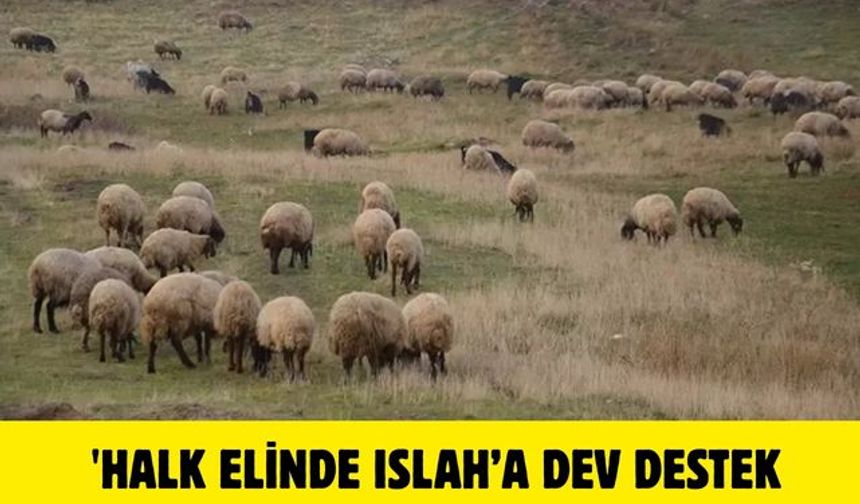 'Halk Elinde Islah’a dev destek