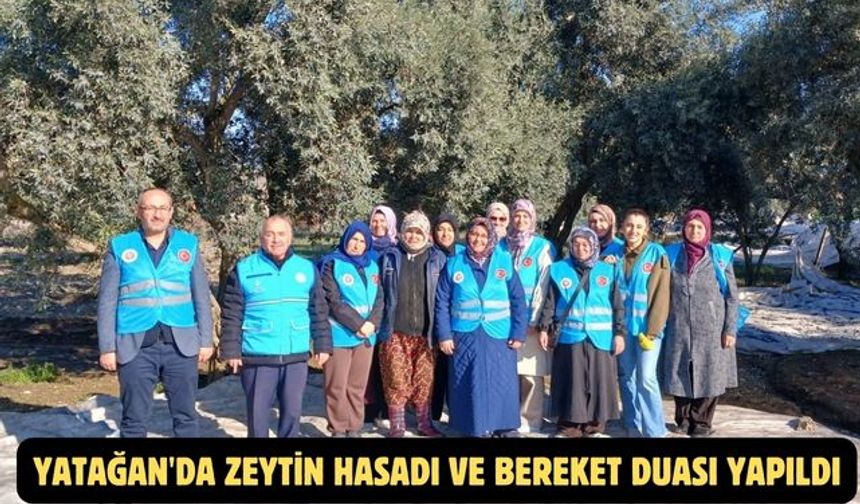 Yatağan'da zeytin hasadı ve bereket duası yapıldı