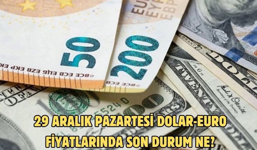29 ARALIK PAZARTESİ DOLAR-EURO FİYATLARINDA SON DURUM NE?