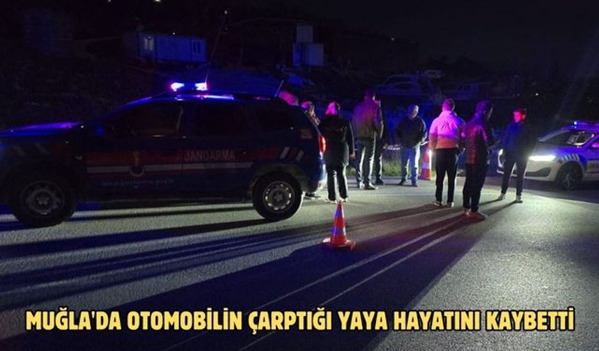 Muğla'da otomobilin çarptığı yaya hayatını kaybetti