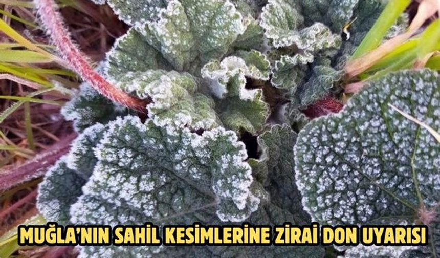 Muğla’nın sahil kesimlerine zirai don uyarısı