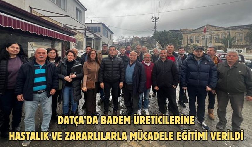 Datça’da badem üreticilerine hastalık ve zararlılarla mücadele eğitimi verildi