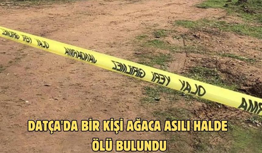 Datça'da bir kişi ağaca asılı halde ölü bulundu