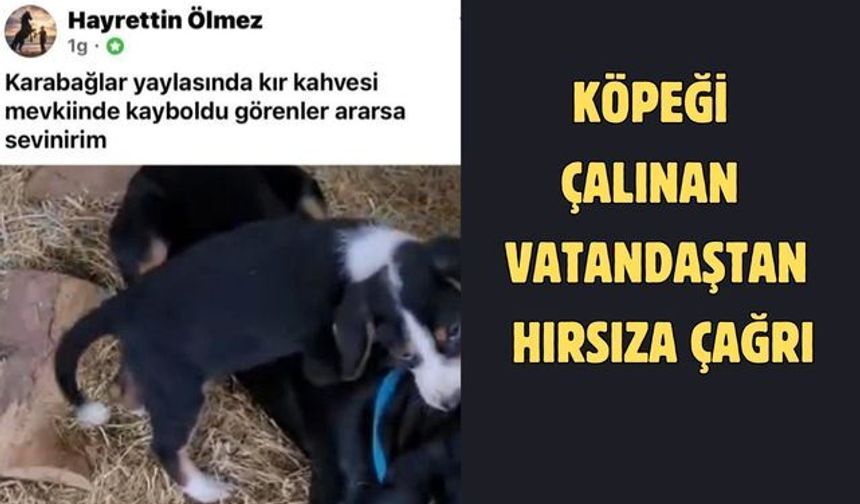 Köpeği çalınan vatandaştan hırsıza çağrı