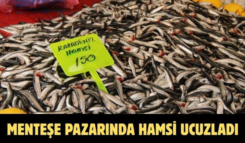 Menteşe pazarında hamsi ucuzladı