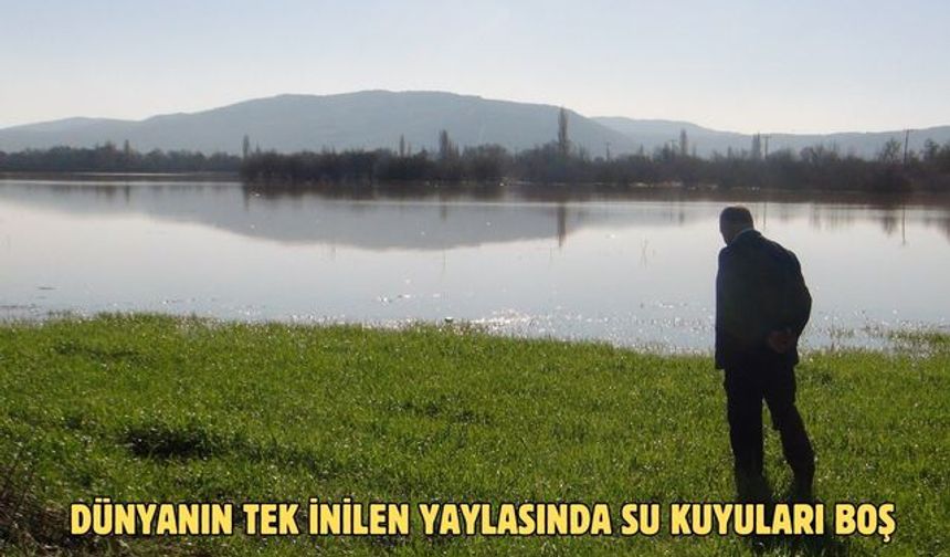 Dünyanın tek inilen yaylasında su kuyuları boş