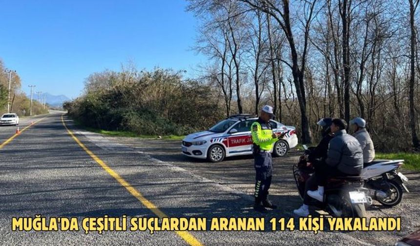 Muğla'da çeşitli suçlardan aranan 114 kişi yakalandı