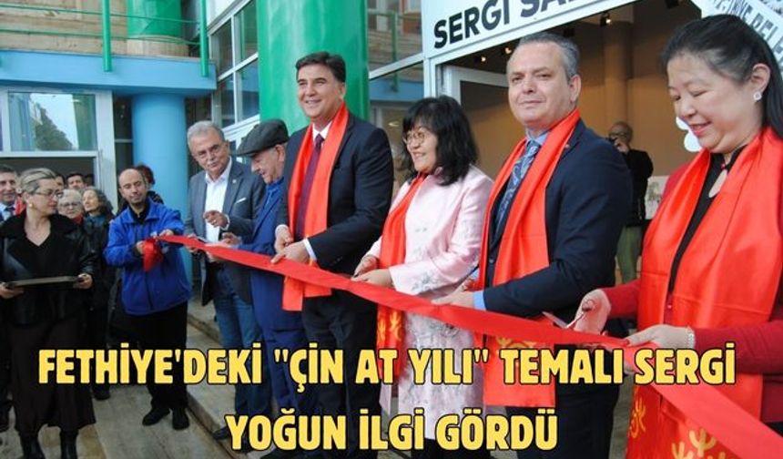 Fethiye'deki "Çin At Yılı" temalı sergi yoğun ilgi gördü