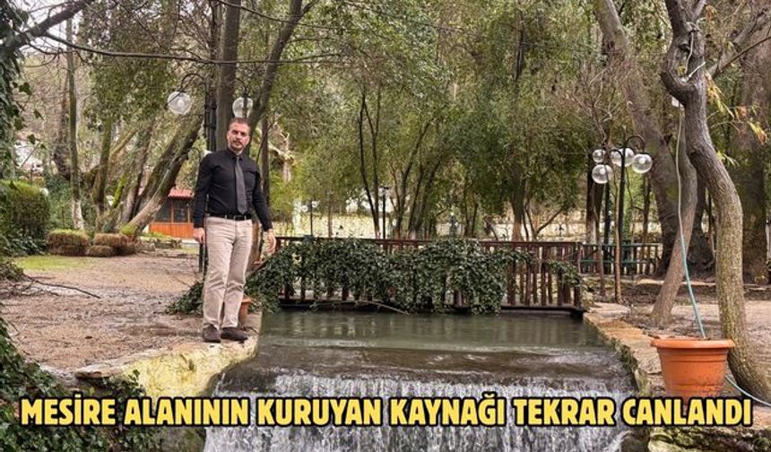 Mesire alanının kuruyan kaynağı tekrar canlandı