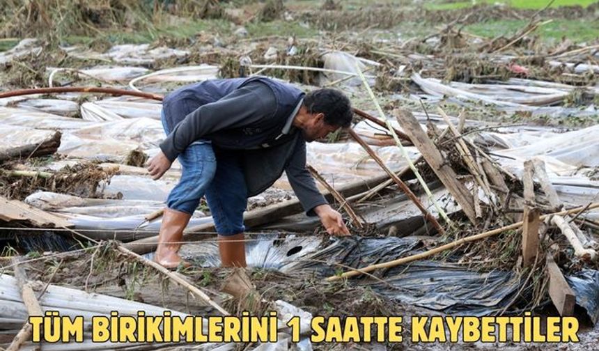 Tüm birikimlerini 1 saatte kaybettiler