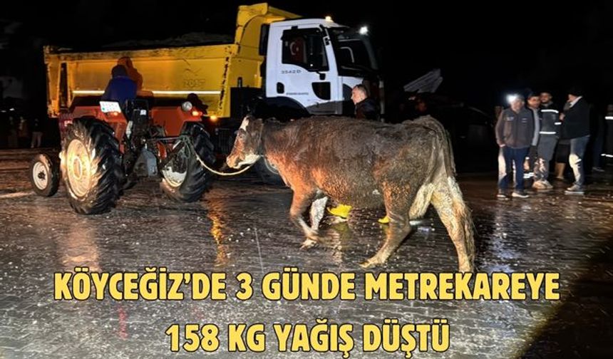 Köyceğiz’de 3 günde metrekareye 158 kg yağış düştü