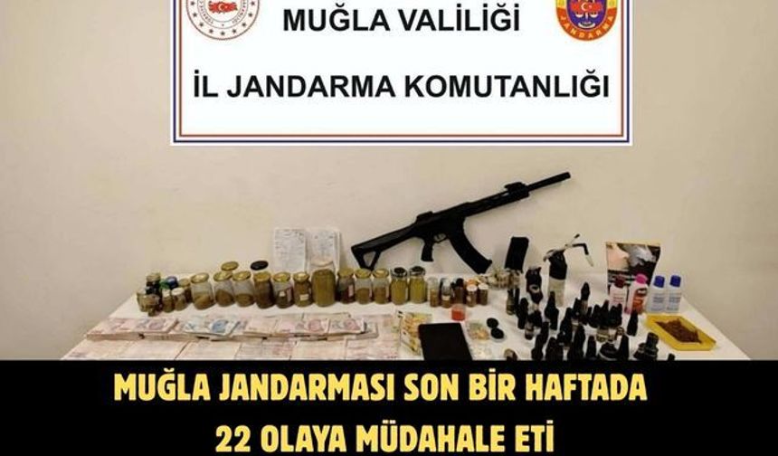 Muğla jandarması son bir haftada 22 olaya müdahale etti