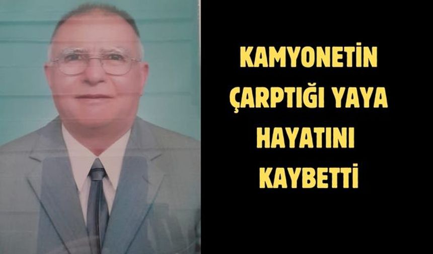 Kamyonetin çarptığı yaya hayatını kaybetti