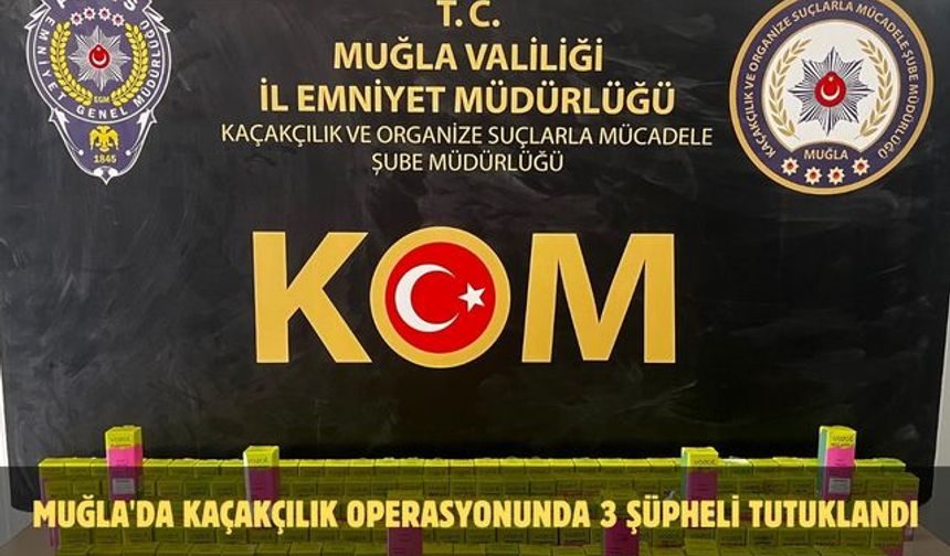 Muğla'da kaçakçılık operasyonunda 3 şüpheli tutuklandı