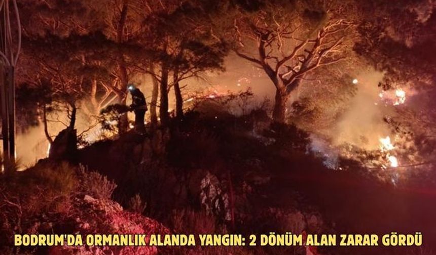 Bodrum'da ormanlık alanda yangın: 2 dönüm alan zarar gördü