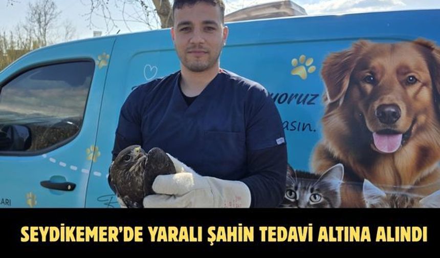Seydikemer’de yaralı şahin tedavi altına alındı