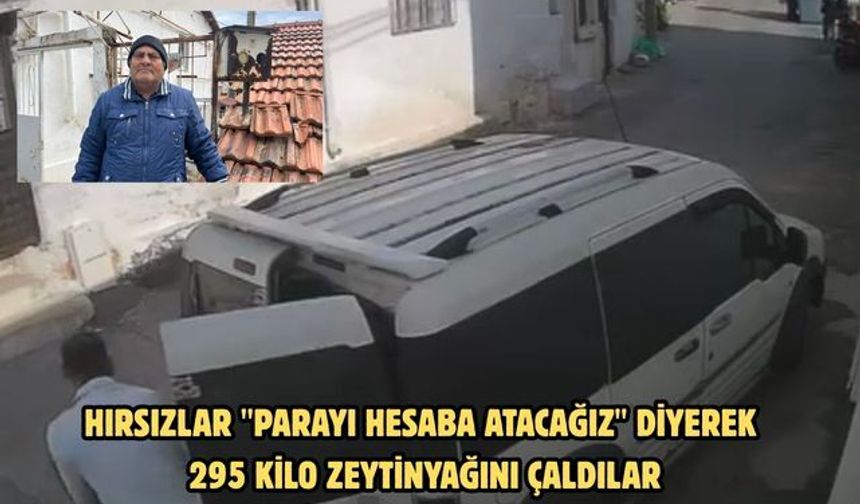 Hırsızlar "Parayı hesaba atacağız" diyerek 295 kilo zeytinyağını çaldılar