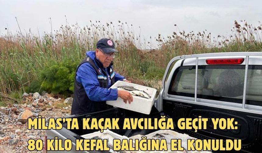 Milas’ta kaçak avcılığa geçit yok: 80 kilo kefal balığına el konuldu