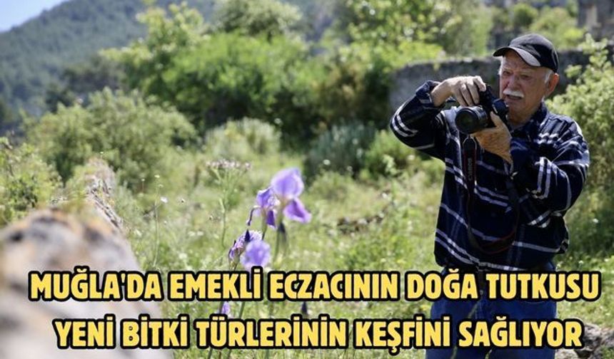 Muğla'da emekli eczacının doğa tutkusu yeni bitki türlerinin keşfini sağlıyor
