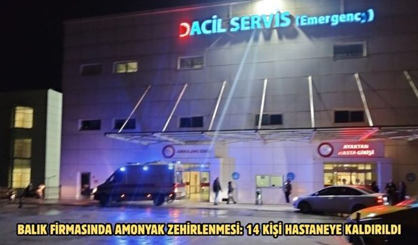 Balık firmasında amonyak zehirlenmesi: 14 kişi hastaneye kaldırıldı
