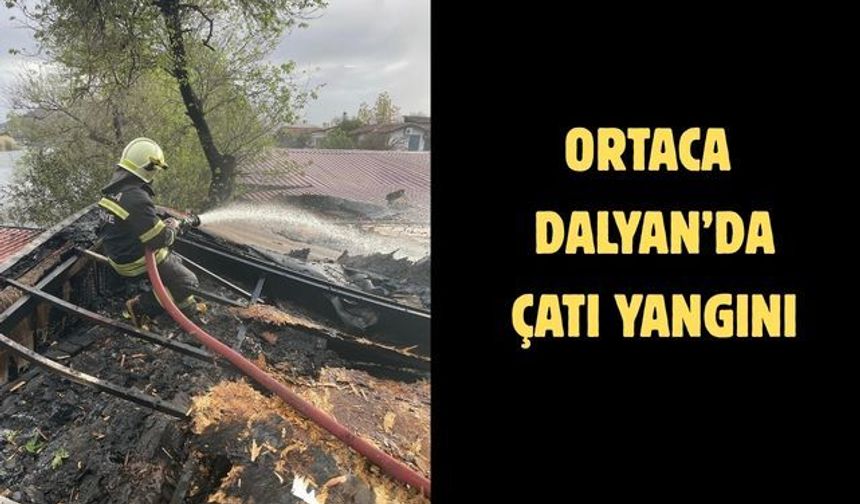 Ortaca Dalyan’da çatı yangını