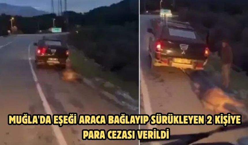 Muğla'da eşeği araca bağlayıp sürükleyen 2 kişiye para cezası verildi