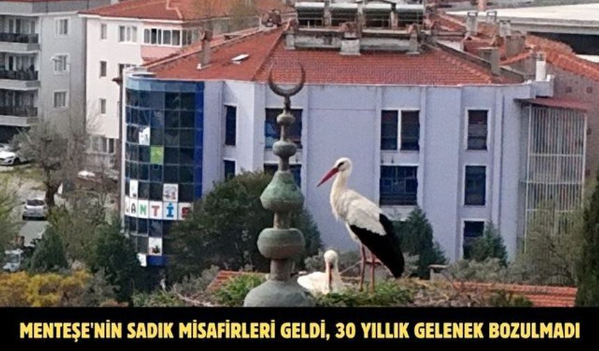 Menteşe'nin sadık misafirleri geldi, 30 yıllık gelenek bozulmadı
