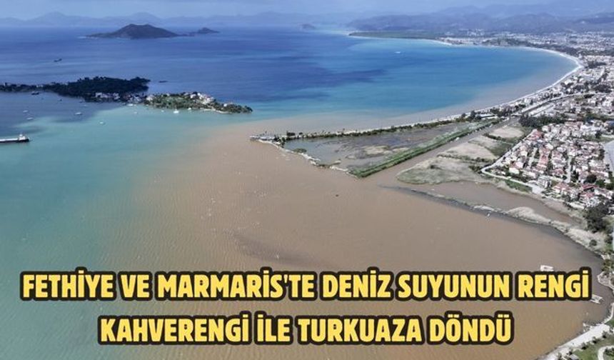 Fethiye ve Marmaris'te deniz suyunun rengi kahverengi ile turkuaza döndü