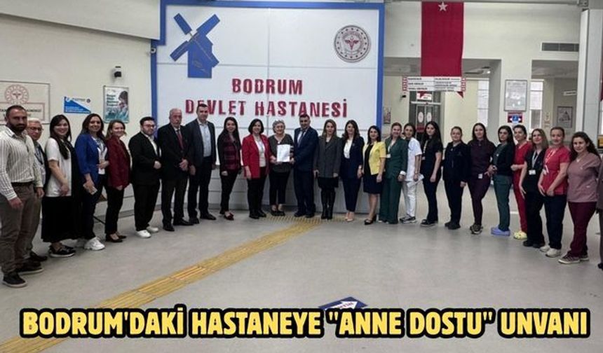 Bodrum'daki hastaneye "anne dostu" unvanı