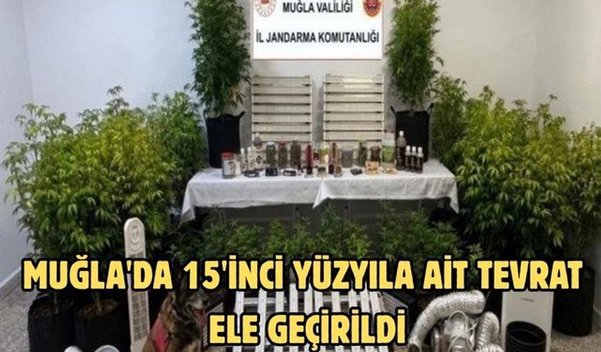 Muğla'da 15'inci yüzyıla ait Tevrat ele geçirildi