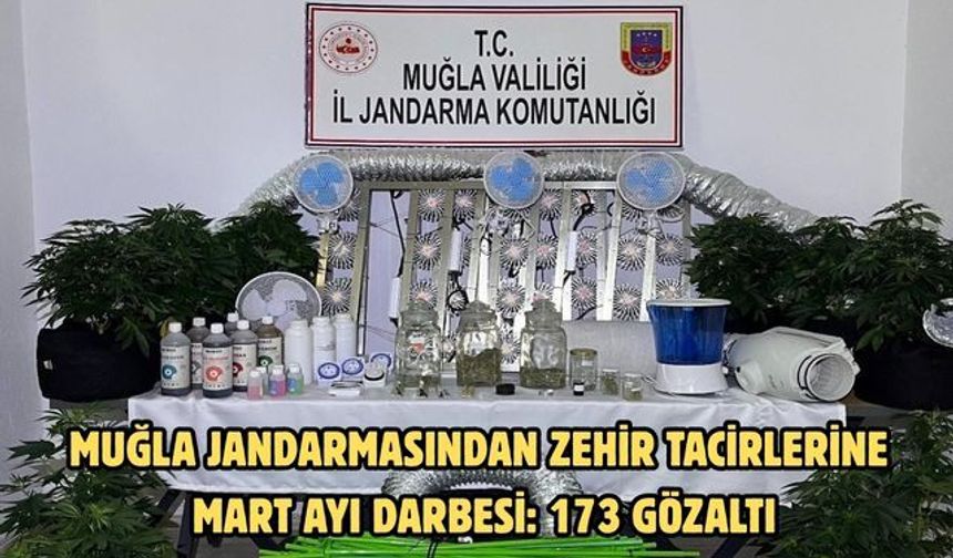 Muğla Jandarmasından zehir tacirlerine mart ayı darbesi: 173 gözaltı