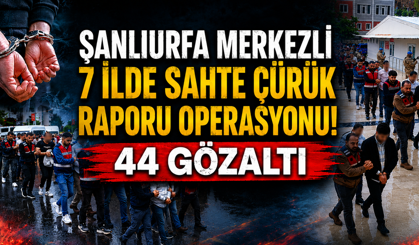Şanlıurfa merkezli 7 ilde sahte çürük raporu operasyonu: 44 gözaltı